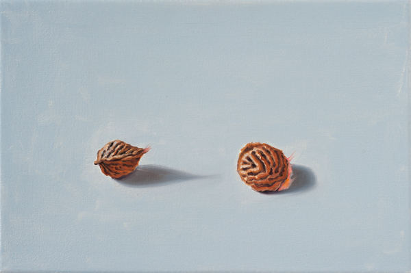 Von Socken und Seifen Nr. 26, 2012, Öl auf Leinwand, 20 x 30 cm